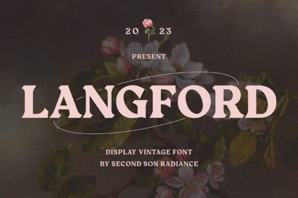 Langford: A Bold Display Font That Cuts Through the Feed